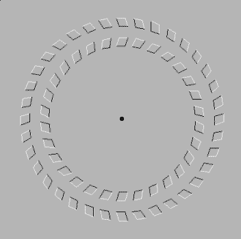 illusion 